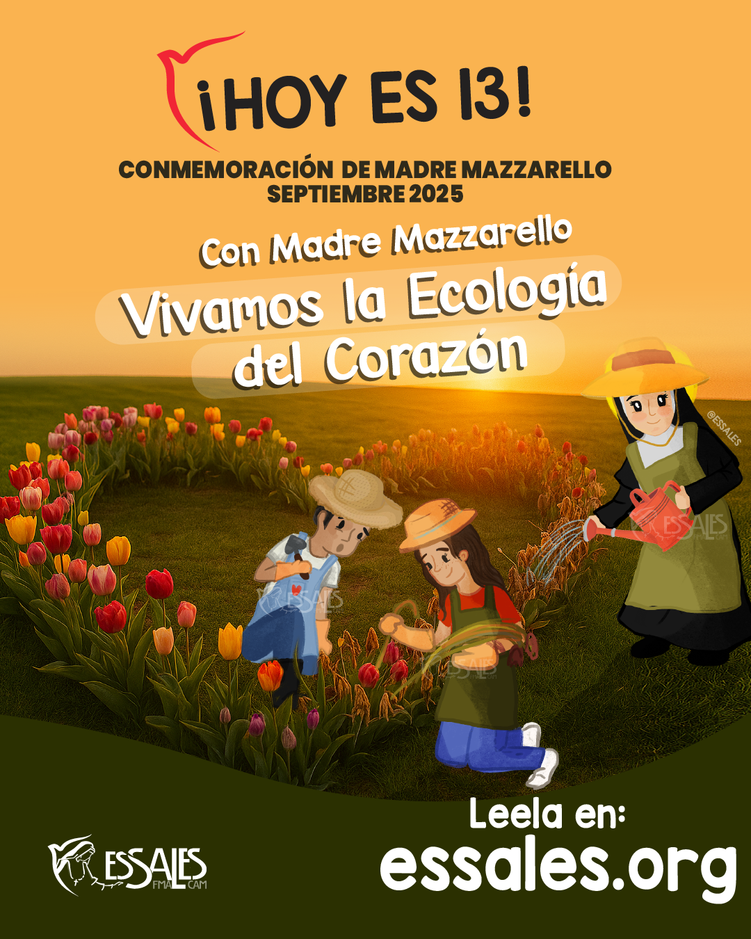 No hay una imagen disponible